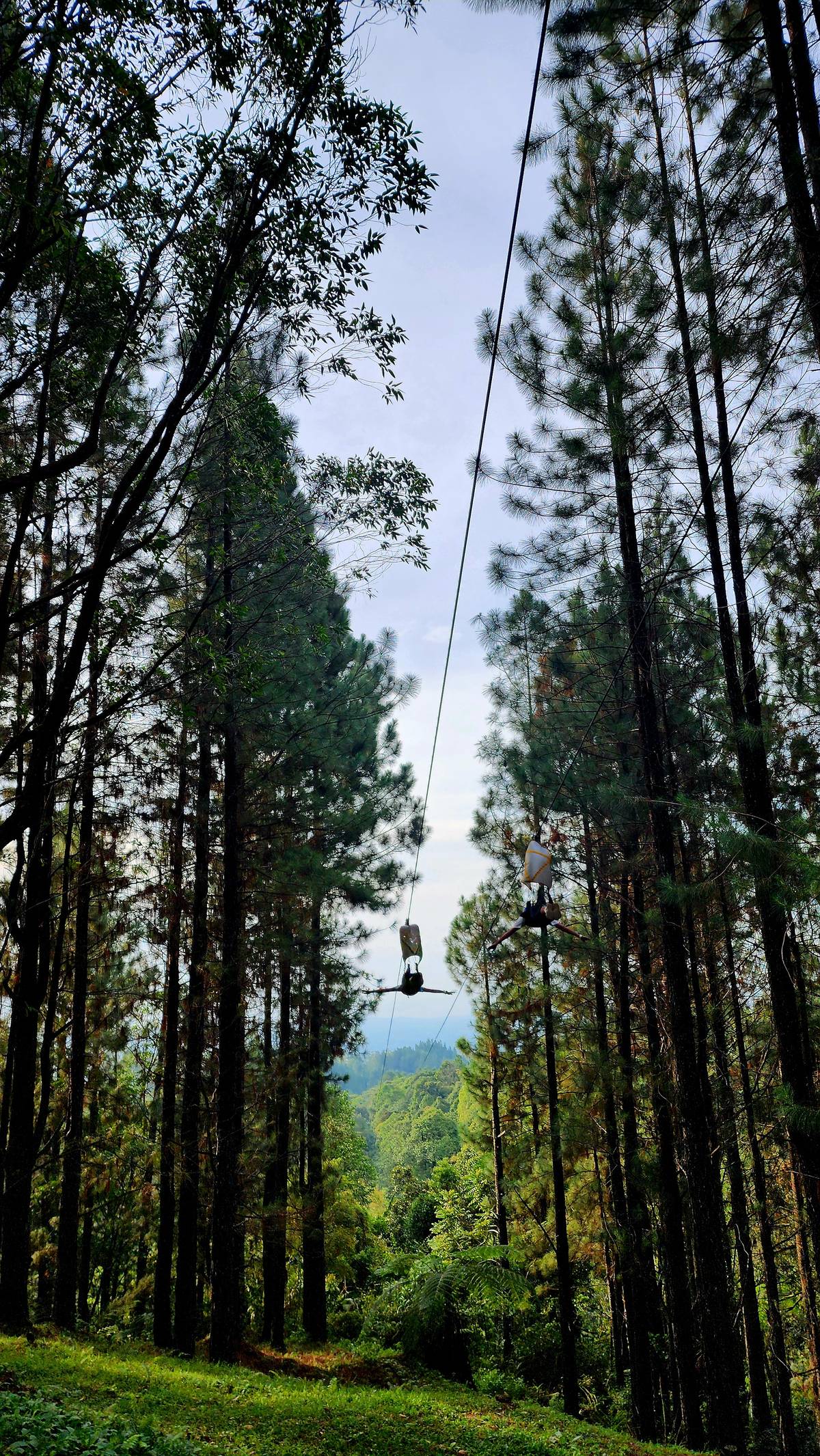 A guest on the zipline through the forest of Dahilayan Adventure Park.